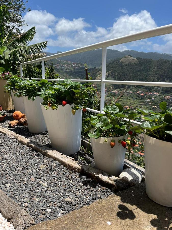 Tropical House Villa Ribeira Brava Exterior foto