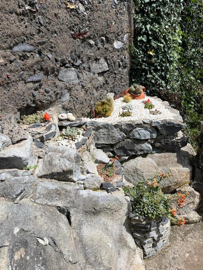 Tropical House Villa Ribeira Brava Exterior foto