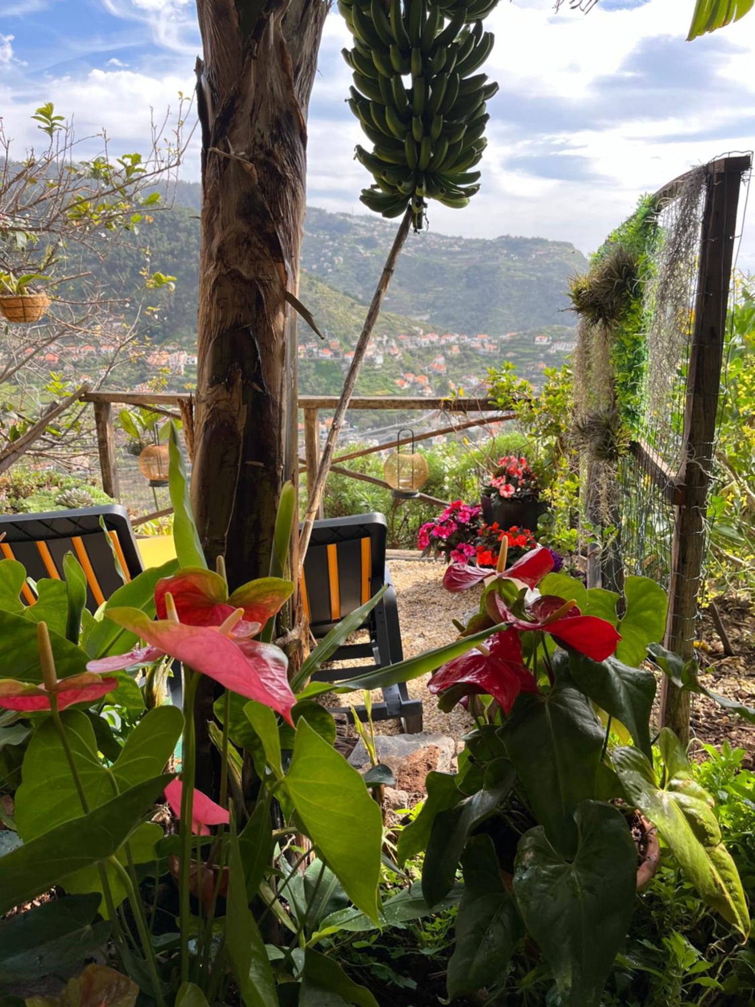 Tropical House Villa Ribeira Brava Exterior foto