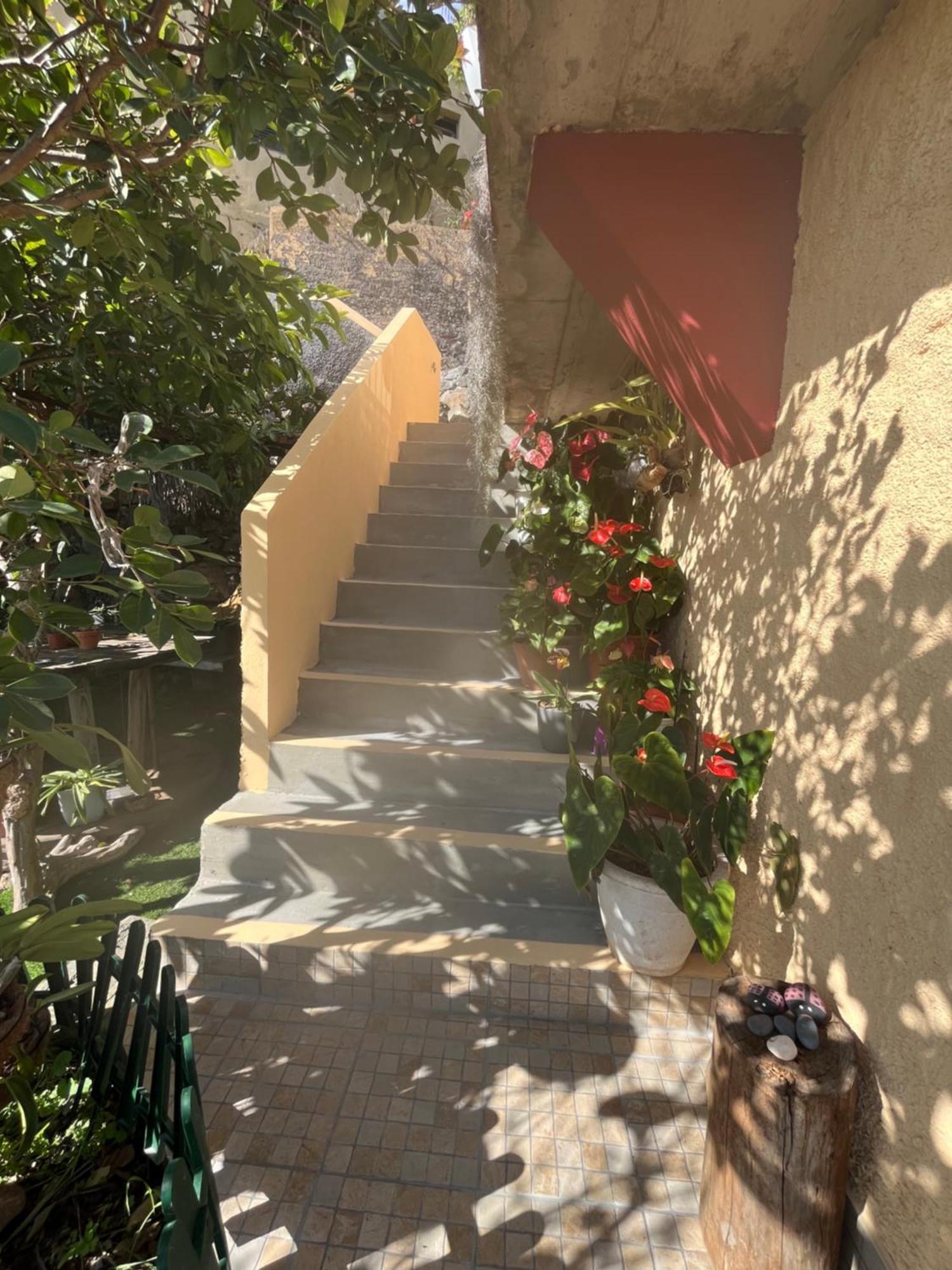 Tropical House Villa Ribeira Brava Exterior foto